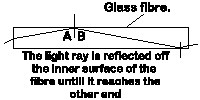 fibre