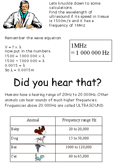 health09.gif - 24737 Bytes