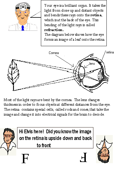 health12.gif - 18246 Bytes