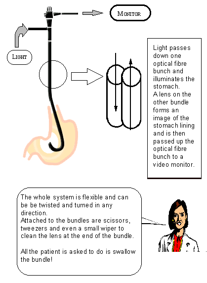 health25.gif - 13411 Bytes