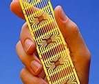 microchip